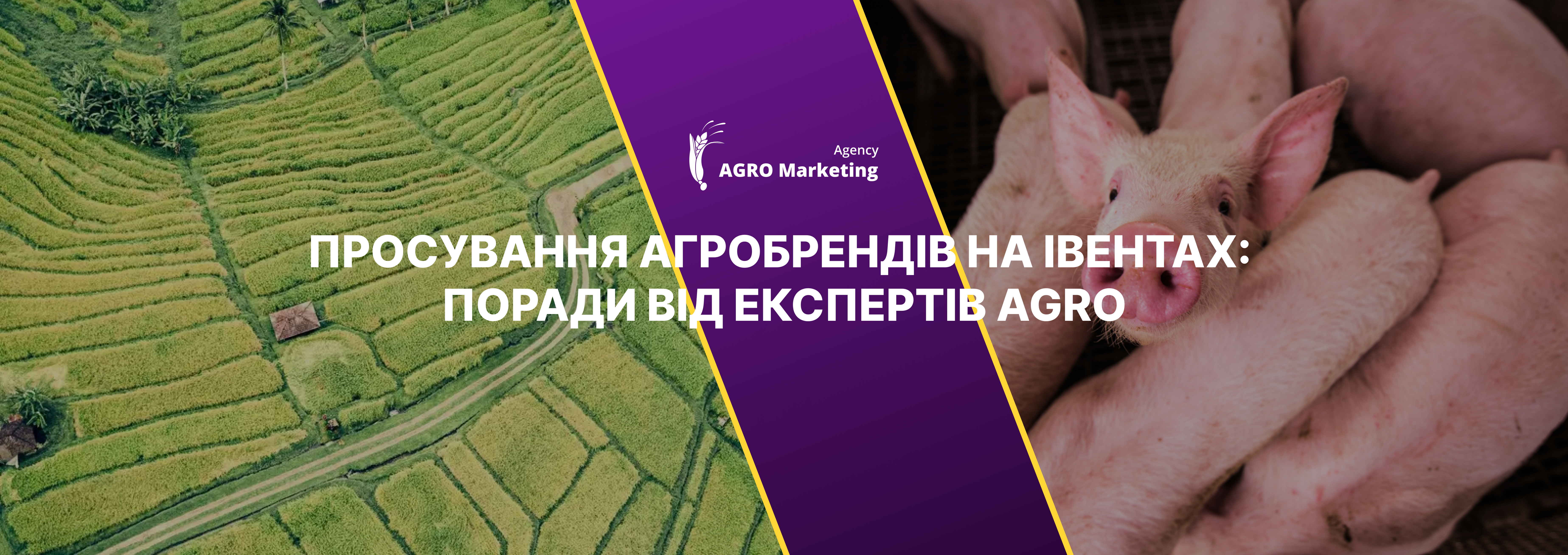 Просування агробрендів на івентах: поради від експертів AGRO